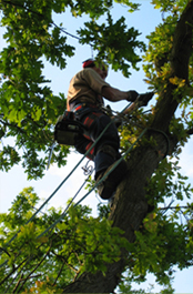 P. van den Bos