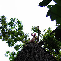 P. van den Bos